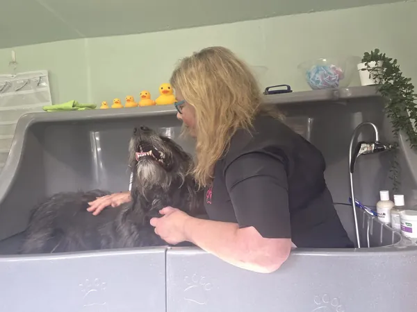 Lorena in the grooming bath with a scruffy black dog who was frightened of baths
